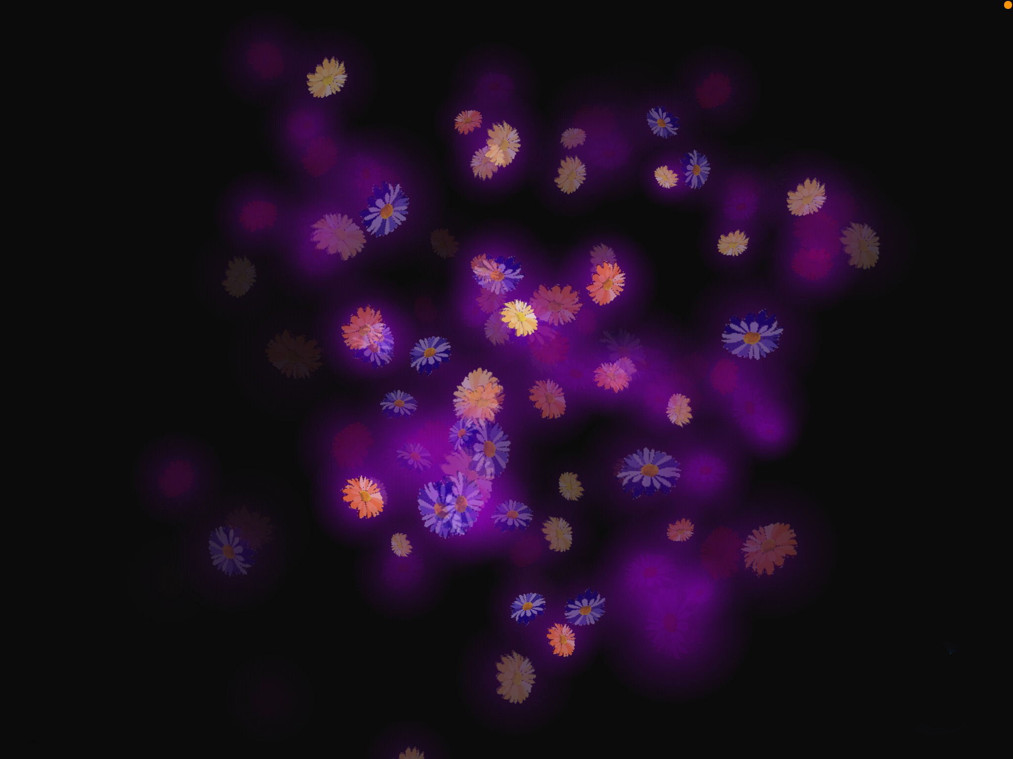 Image strip particles